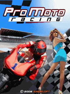 Screenshot: Pro Moto Racing